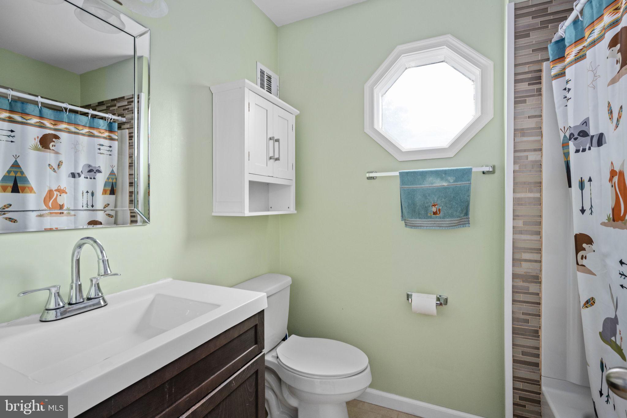 246 Choptank Road Stafford, VA 22556 - Photo 42 of 98 a bathroom with a sink mirror vanity and toilet