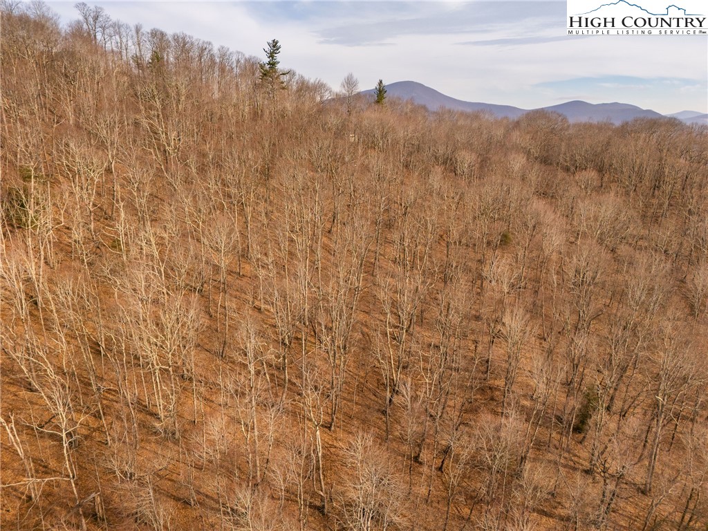 1395 Grady Winkler Road Boone, NC 28607 - Photo 16 of 50 Gallery Image 16