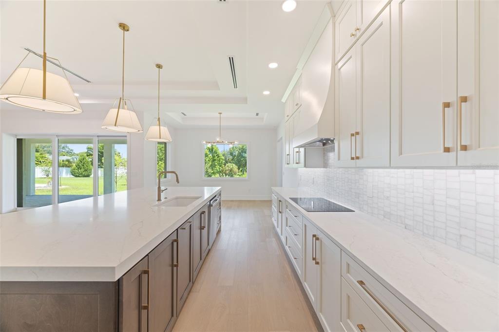 1336 Hays Road Tarpon Springs, FL 34689 - Photo 20 of 75