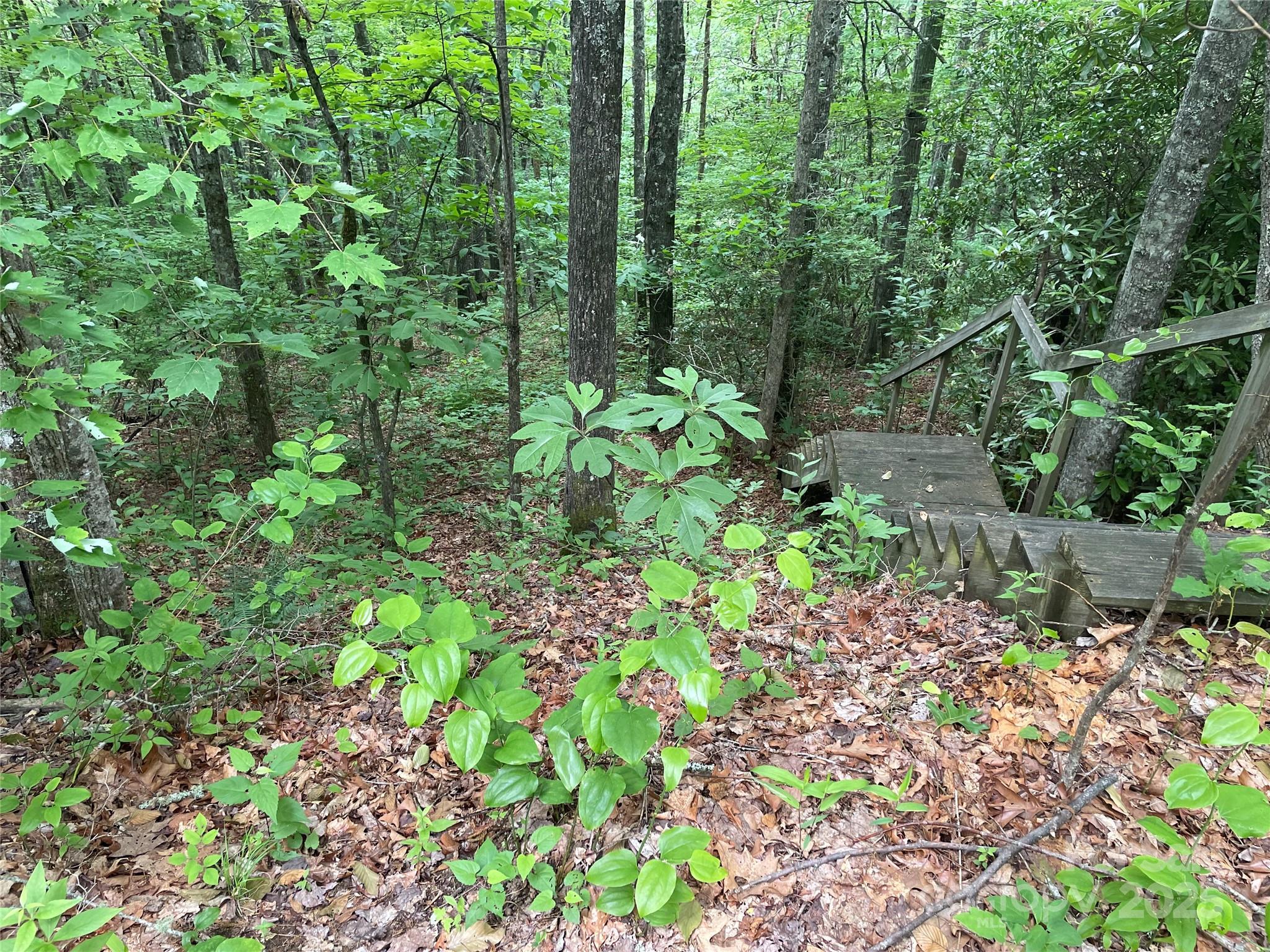 279 Cabin Flats Road, Unit 279 Balsam, NC 28707 - Photo 2 of 18 a plant view in yard
