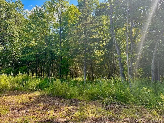 a view of backyard with green space