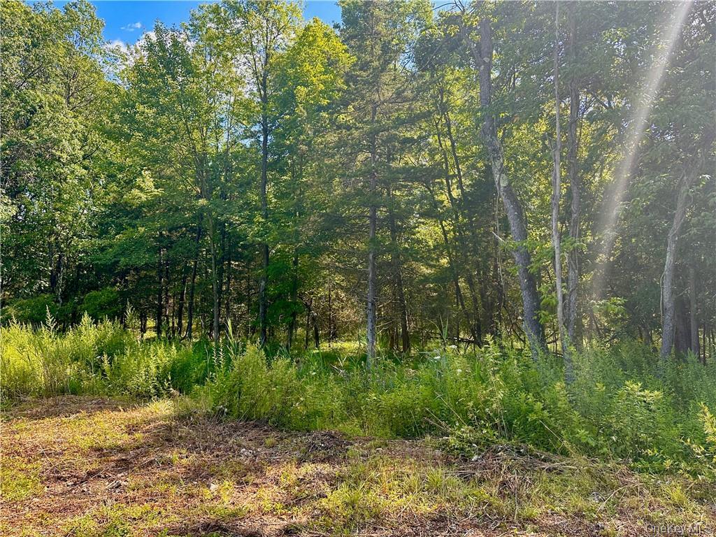 32 Mountainside Drive Chester, NY 10918 - Photo 5 of 8 a view of backyard with green space