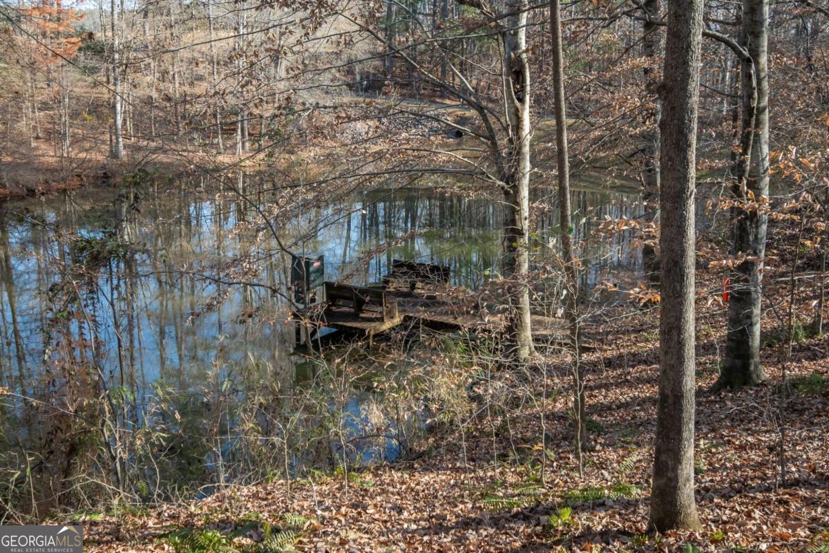 2191 Salem Road Watkinsville, GA 30677 - Photo 2 of 79 a backyard of a house with lots of green space