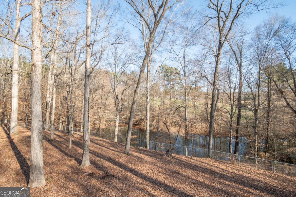 2191 Salem Road Watkinsville, GA 30677 - Photo 60 of 79