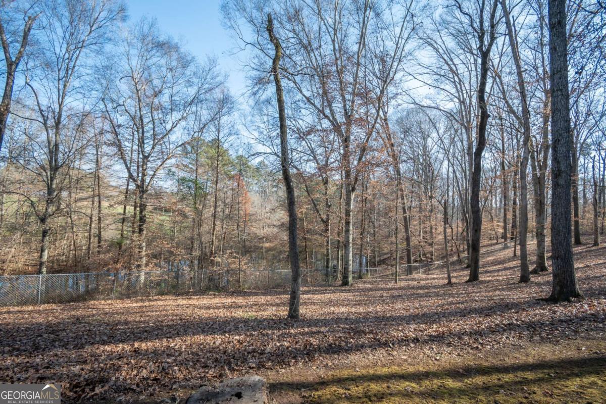 2191 Salem Road Watkinsville, GA 30677 - Photo 64 of 79 a backyard of a house with lots of trees