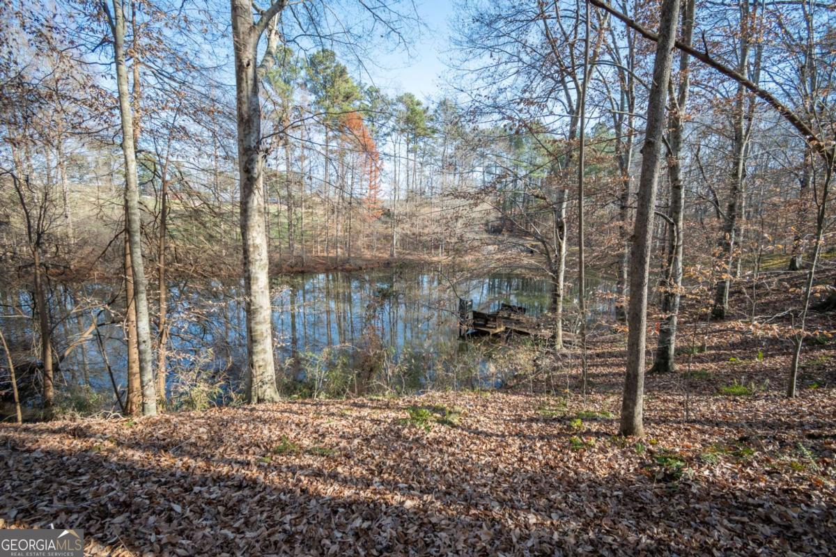2191 Salem Road Watkinsville, GA 30677 - Photo 68 of 79 a backyard of a house with lots of green space