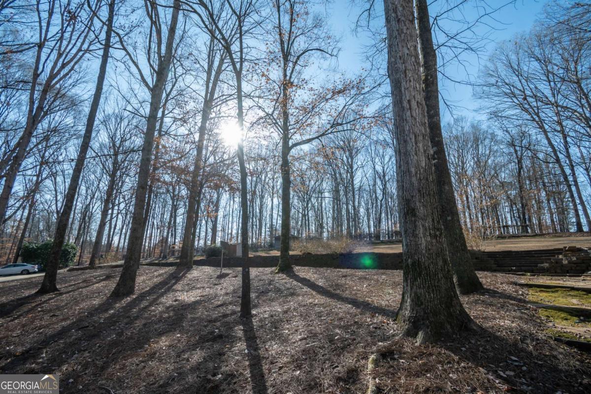 2191 Salem Road Watkinsville, GA 30677 - Photo 71 of 79 a backyard of a house with lots of green space