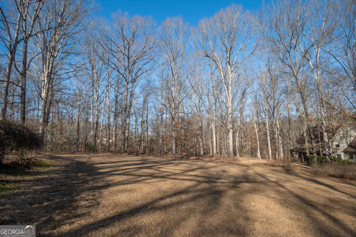 2191 Salem Road Watkinsville, GA 30677 - Photo 79 of 79