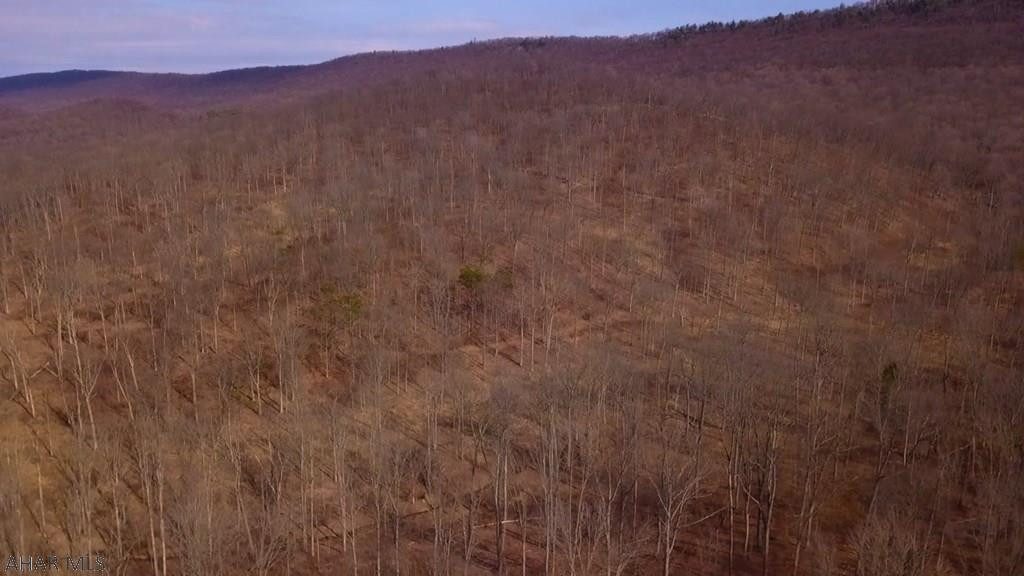 0 Sweet Root Road Bedford, PA 15522 - Photo 22 of 23 Gallery Image 22
