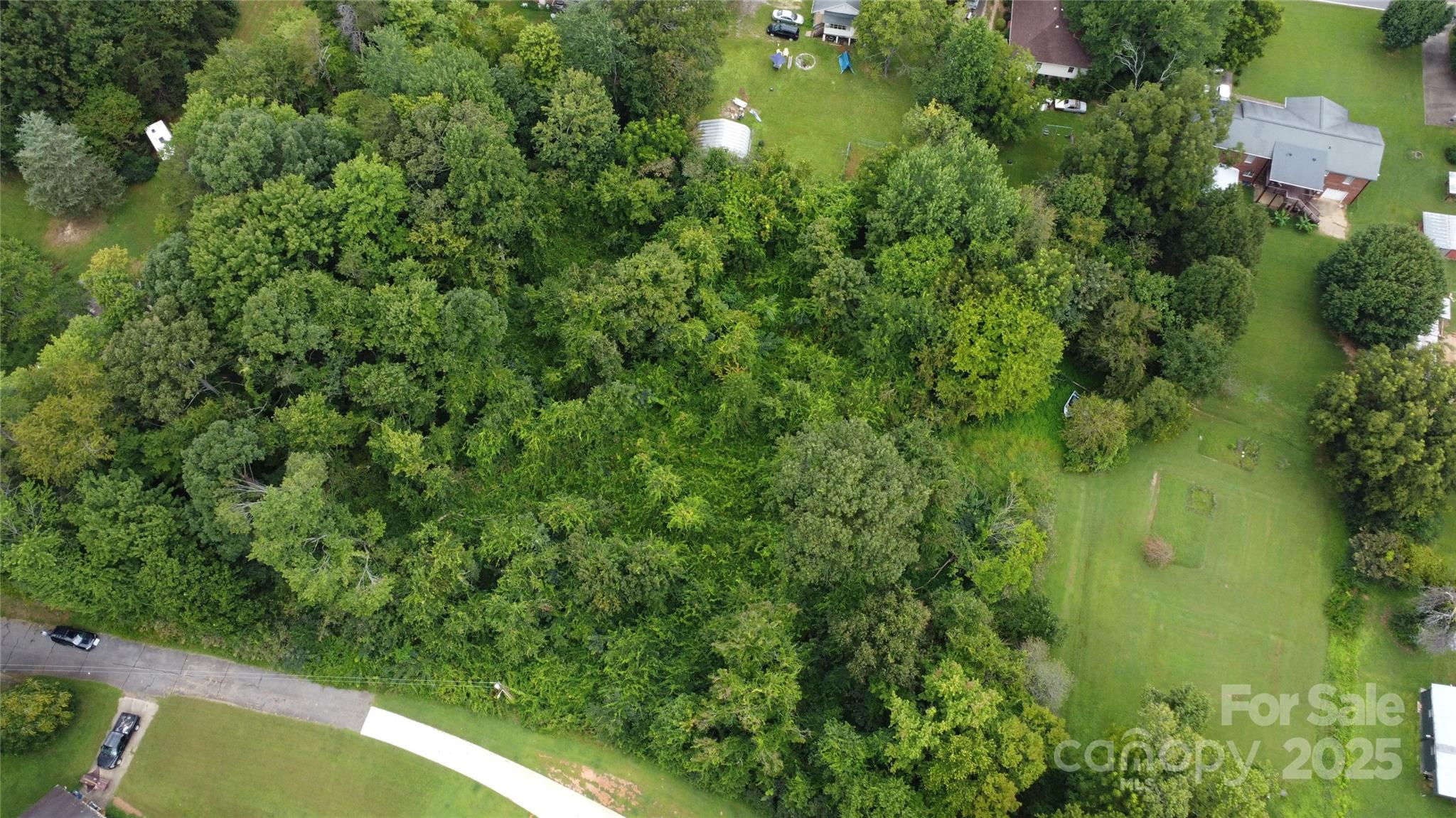 113-119 Byrd Street Morganton, NC 28655 - Photo 3 of 5 a view of a garden
