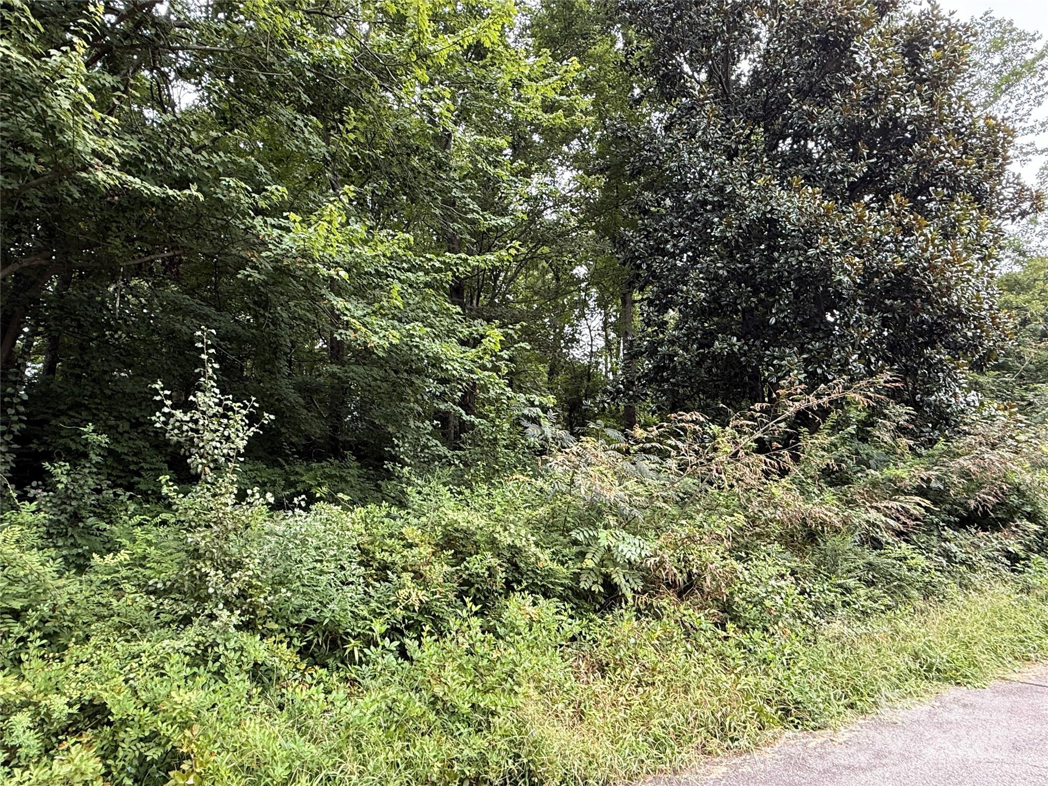 113-119 Byrd Street Morganton, NC 28655 - Photo 4 of 5 a view of a house with a tree