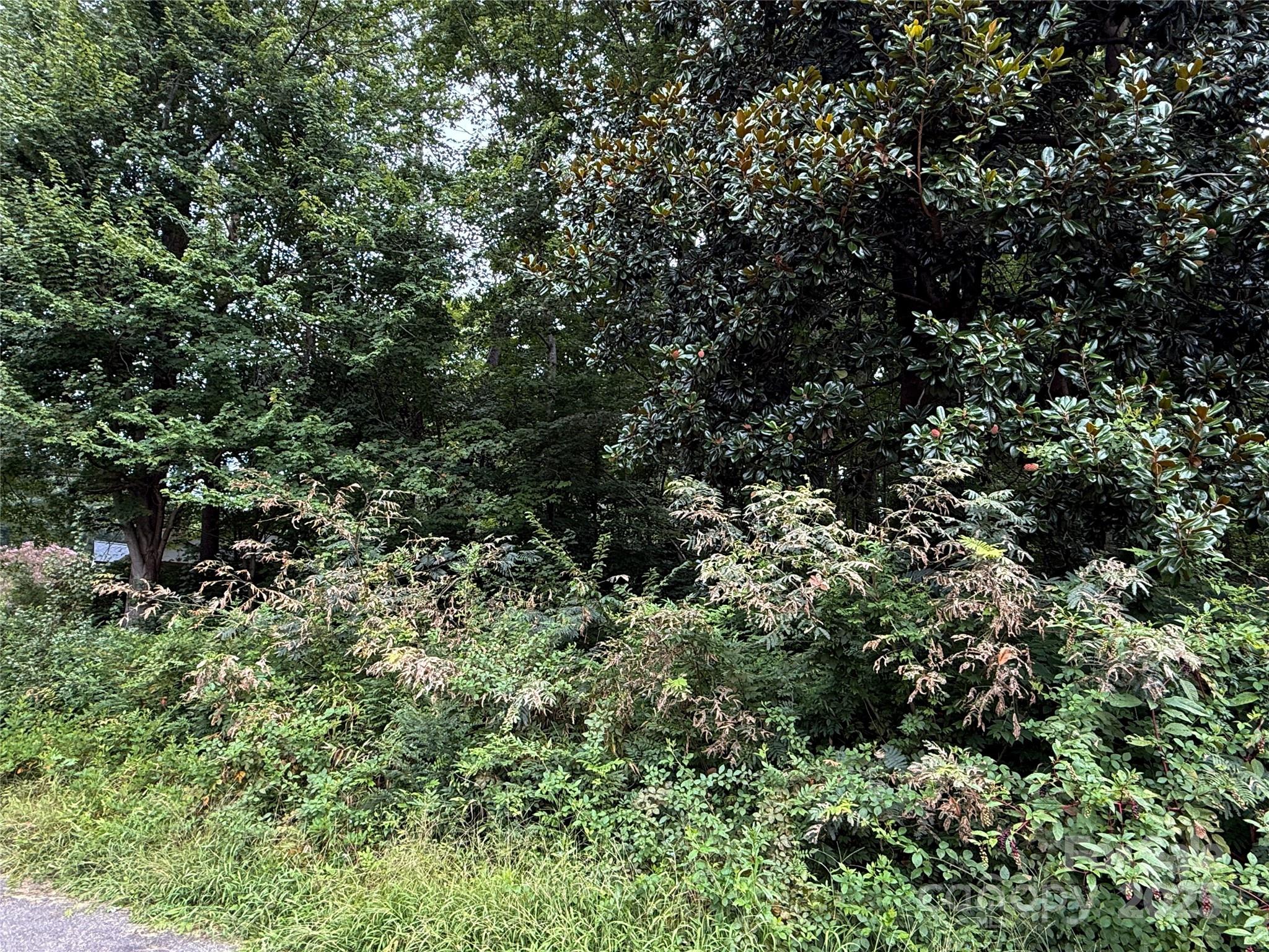 113-119 Byrd Street Morganton, NC 28655 - Photo 5 of 5 a view of a house with a tree
