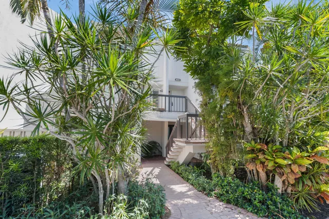 a view of a yard with a palm tree