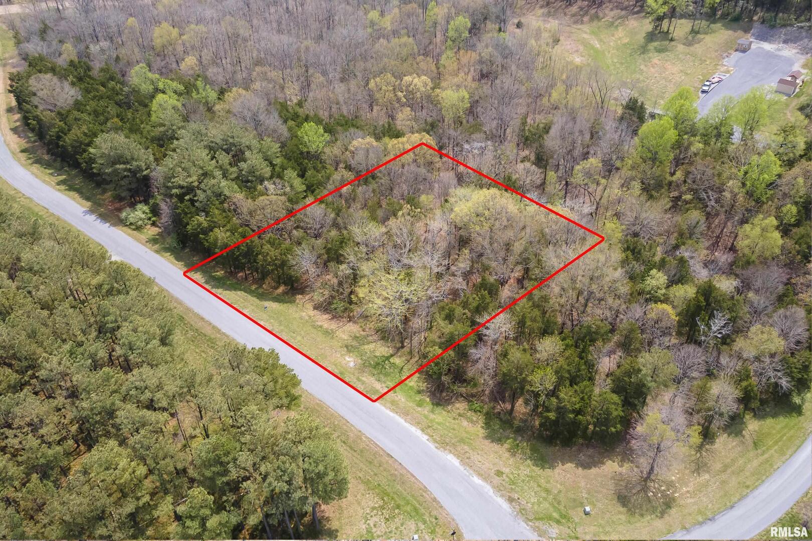 0 Clifty Lane Goreville, IL 62939 - Photo 11 of 21