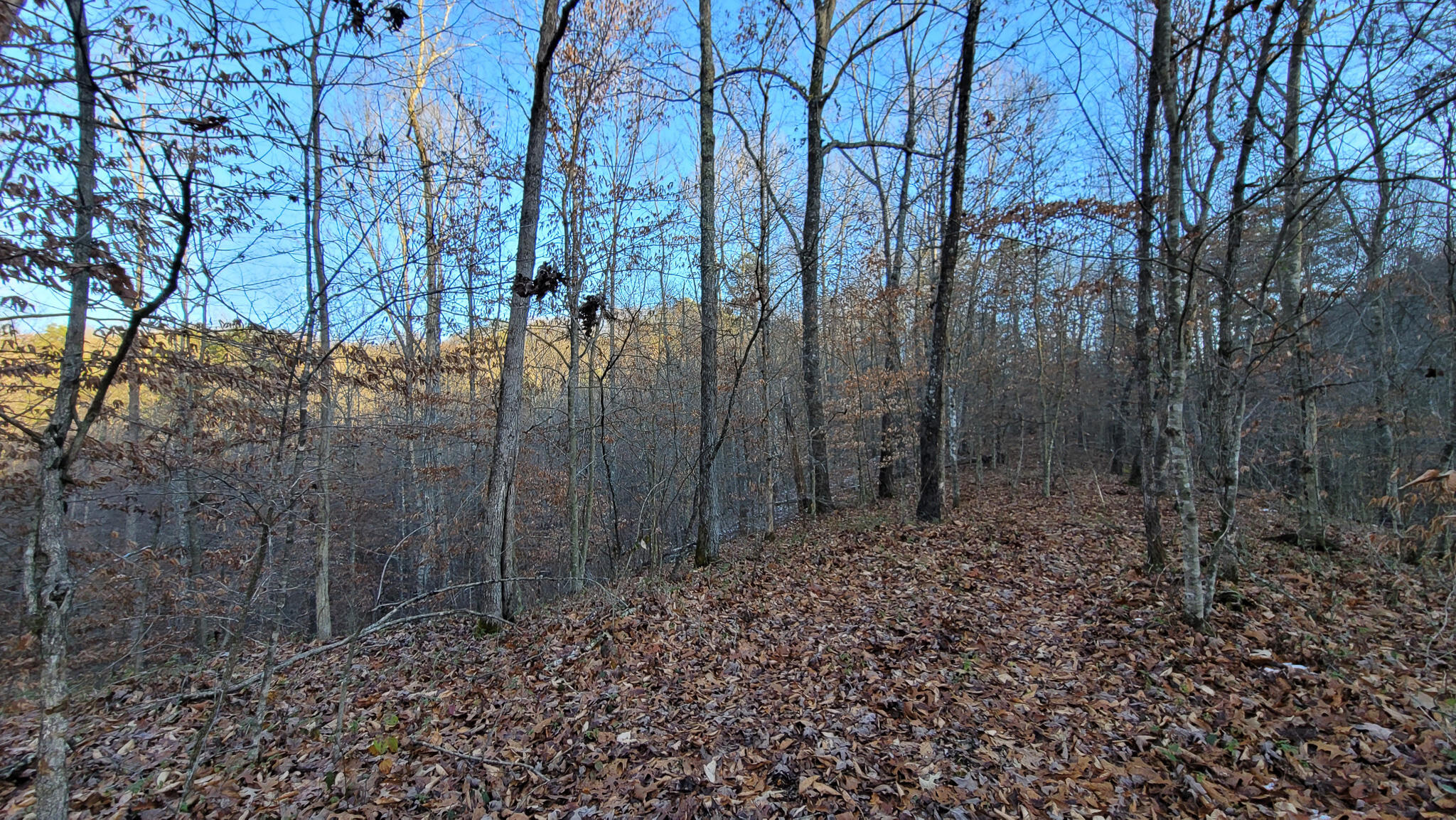 0 Beech Timber Road Beattyville, KY 41311 - Photo 19 of 54 20241212_162025