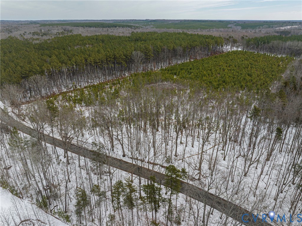 0 Covered Bridge Road Kents Store, VA 23084 - Photo 19 of 28 a view of lake with green space
