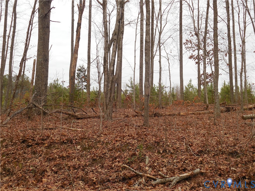 0 Covered Bridge Road Kents Store, VA 23084 - Photo 23 of 28 a view of outdoor space with trees