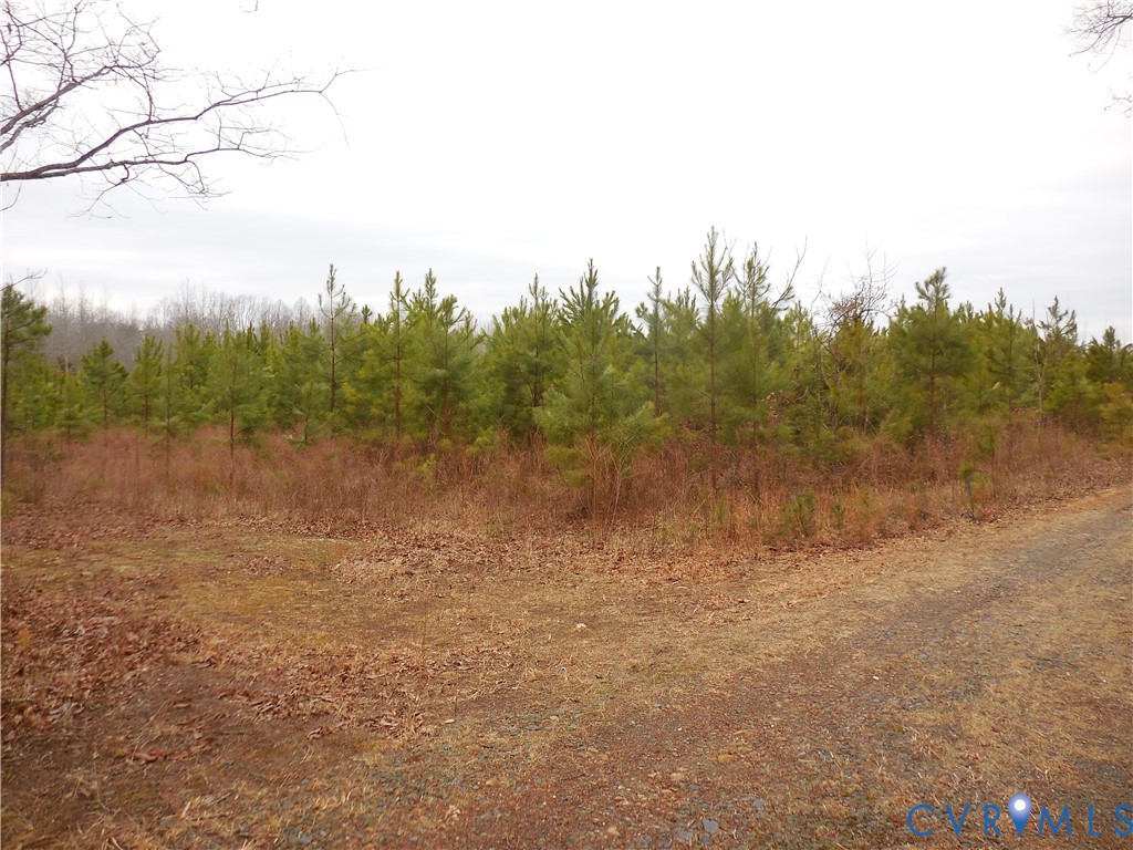 0 Covered Bridge Road Kents Store, VA 23084 - Photo 24 of 28