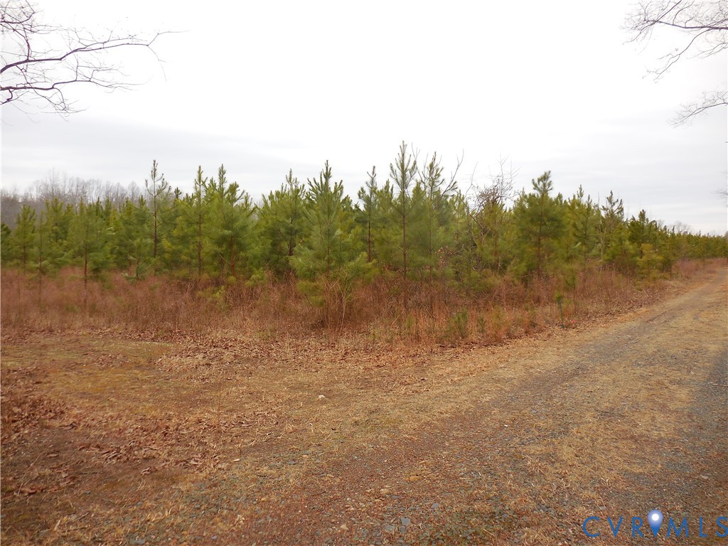 0 Covered Bridge Road Kents Store, VA 23084 - Photo 25 of 28 a view of a field with trees in background