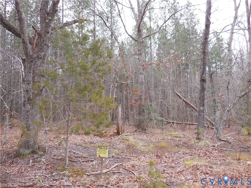 0 Covered Bridge Road Kents Store, VA 23084 - Photo 26 of 28 a backyard of a house with lots of green space