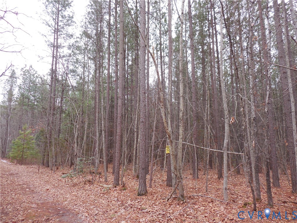 0 Covered Bridge Road Kents Store, VA 23084 - Photo 27 of 28 a backyard of a house with lots of plants and trees