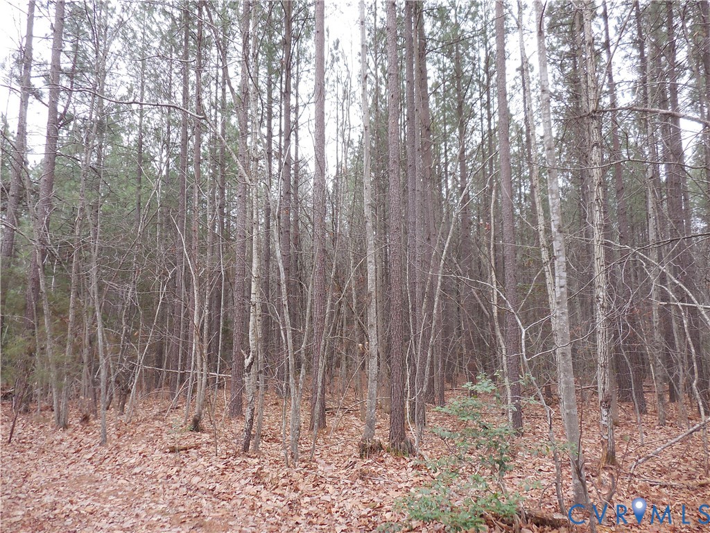 0 Covered Bridge Road Kents Store, VA 23084 - Photo 28 of 28 a view of small space with wooden fence