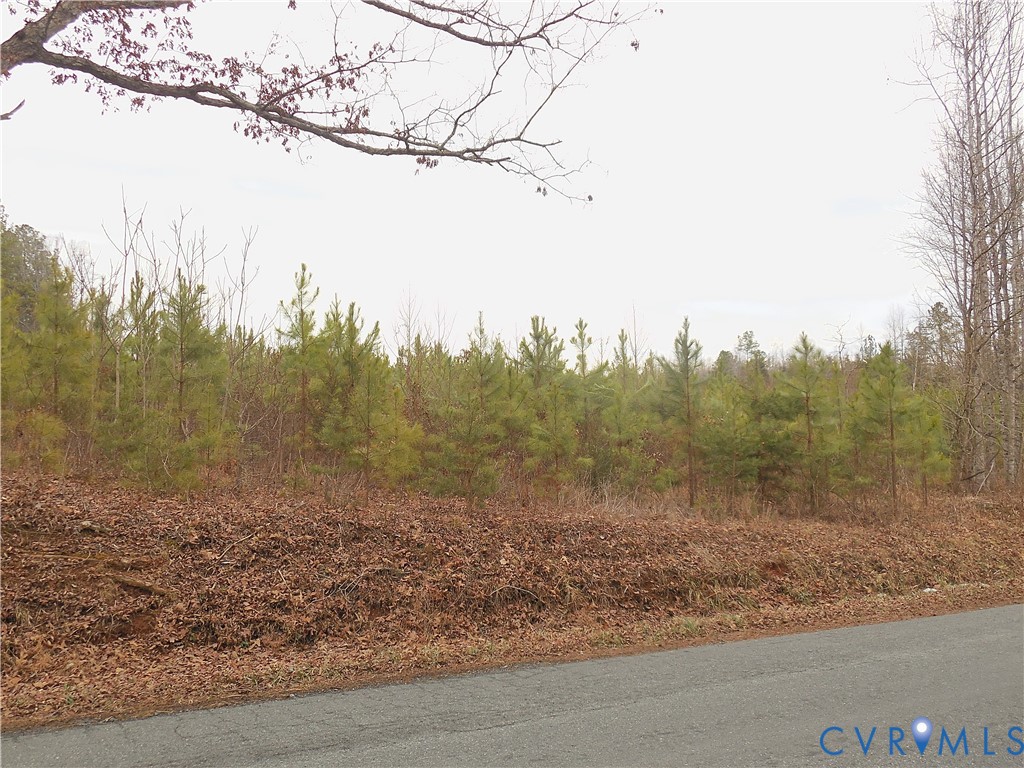 0 Covered Bridge Road Kents Store, VA 23084 - Photo 3 of 28 a view of a forest with trees in the background