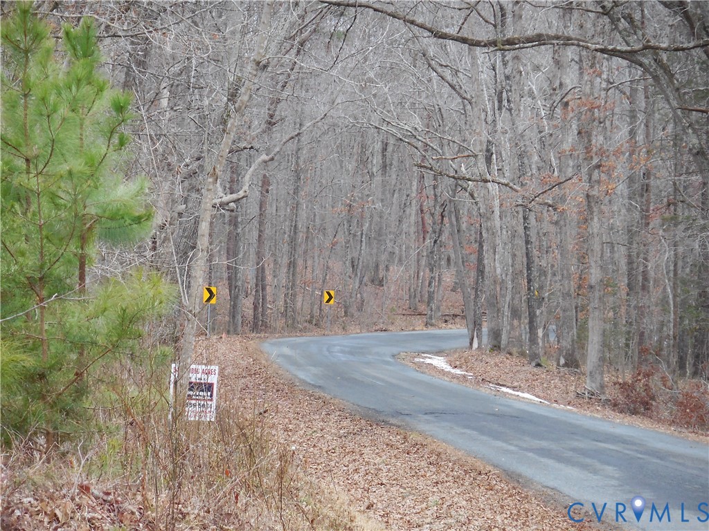 0 Covered Bridge Road Kents Store, VA 23084 - Photo 5 of 28 a backyard of a house