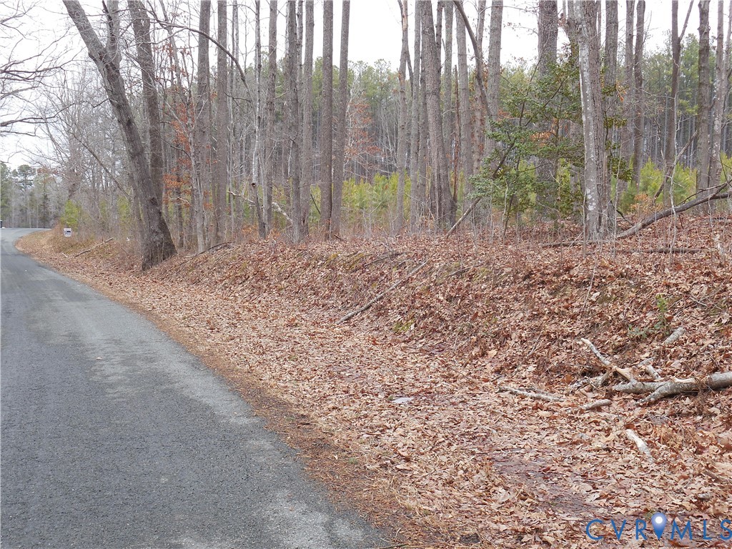 0 Covered Bridge Road Kents Store, VA 23084 - Photo 6 of 28 a view of a backyard