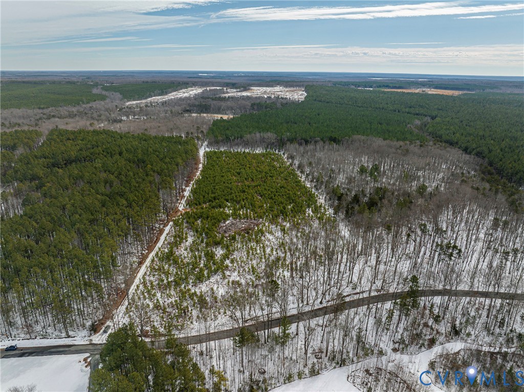 0 Covered Bridge Road Kents Store, VA 23084 - Photo 7 of 28 a view of a yard with an outdoor space