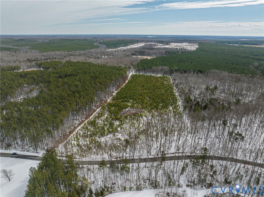 0 Covered Bridge Road Kents Store, VA 23084 - Photo 8 of 28 a view of a lake from a yard