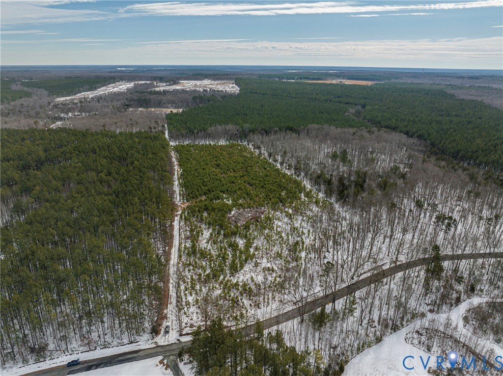 0 Covered Bridge Road Kents Store, VA 23084 - Photo 9 of 28 a view of a yard from a balcony