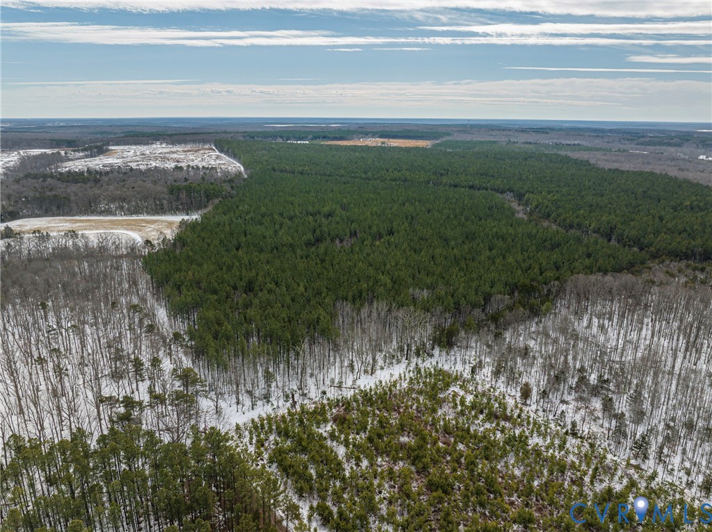 0 Covered Bridge Road Kents Store, VA 23084 - Photo 10 of 28 a view of a lake view