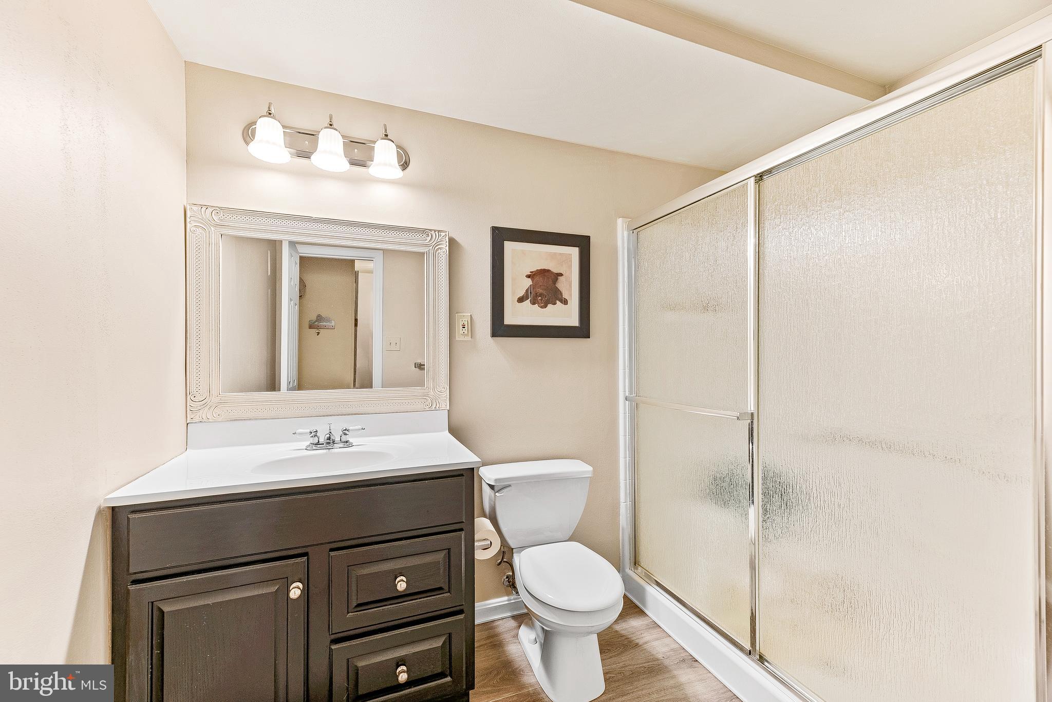 570 Small Reward Road Huntingtown, MD 20639 - Photo 47 of 64 Full Baath in Lower Level...