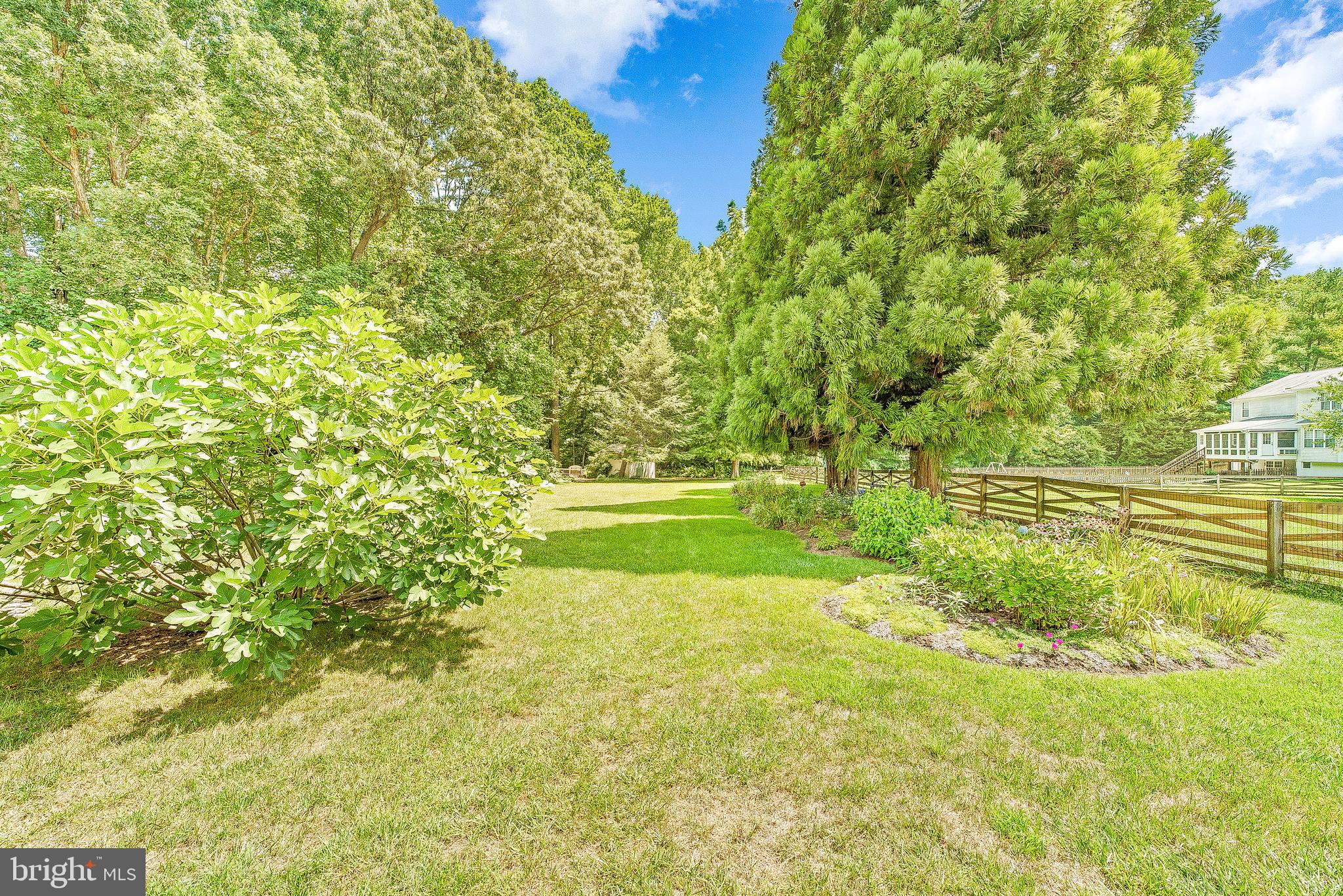 570 Small Reward Road Huntingtown, MD 20639 - Photo 64 of 64 Lush Backyard...