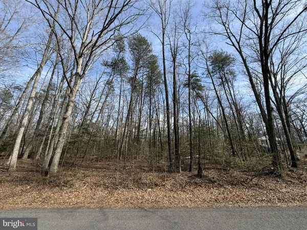 $125,000 | Lot 9 Park Avenue, White Plains, MD 20695