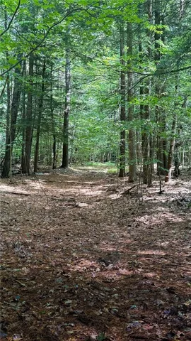 $599,000 | Undisclosed Address, Westford, NY 12155