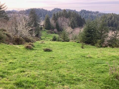 0 Mattole Road Ferndale, CA 95536 - Photo 4 of 10