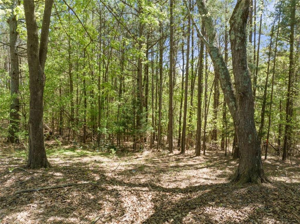 0 Greenway Road Lula, GA 30554 - Photo 1 of 1 a view of outdoor space with trees