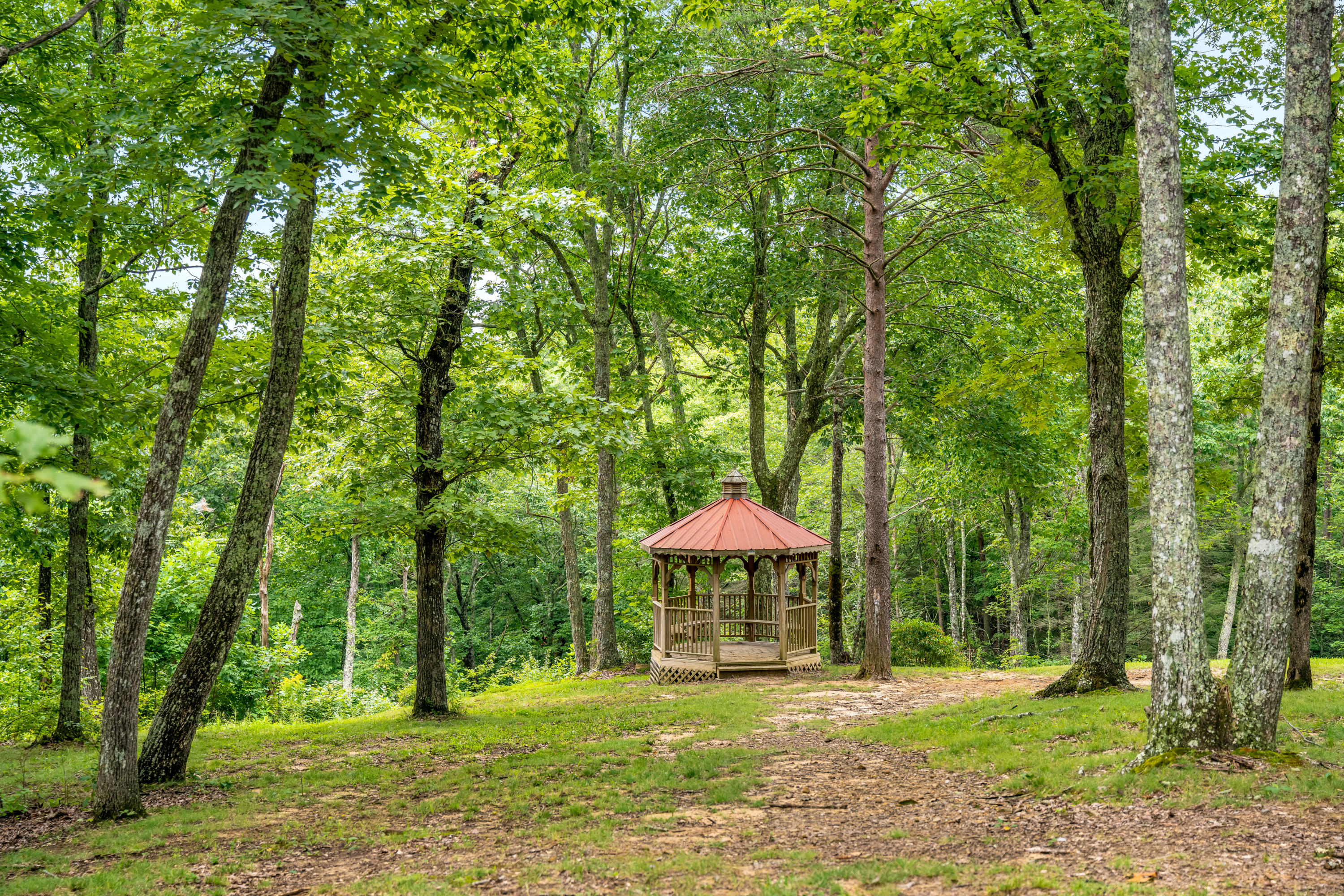 241 Timber View Road Pikeville, TN 37367 - Photo 29 of 34 Cumberland_Overlook_0018