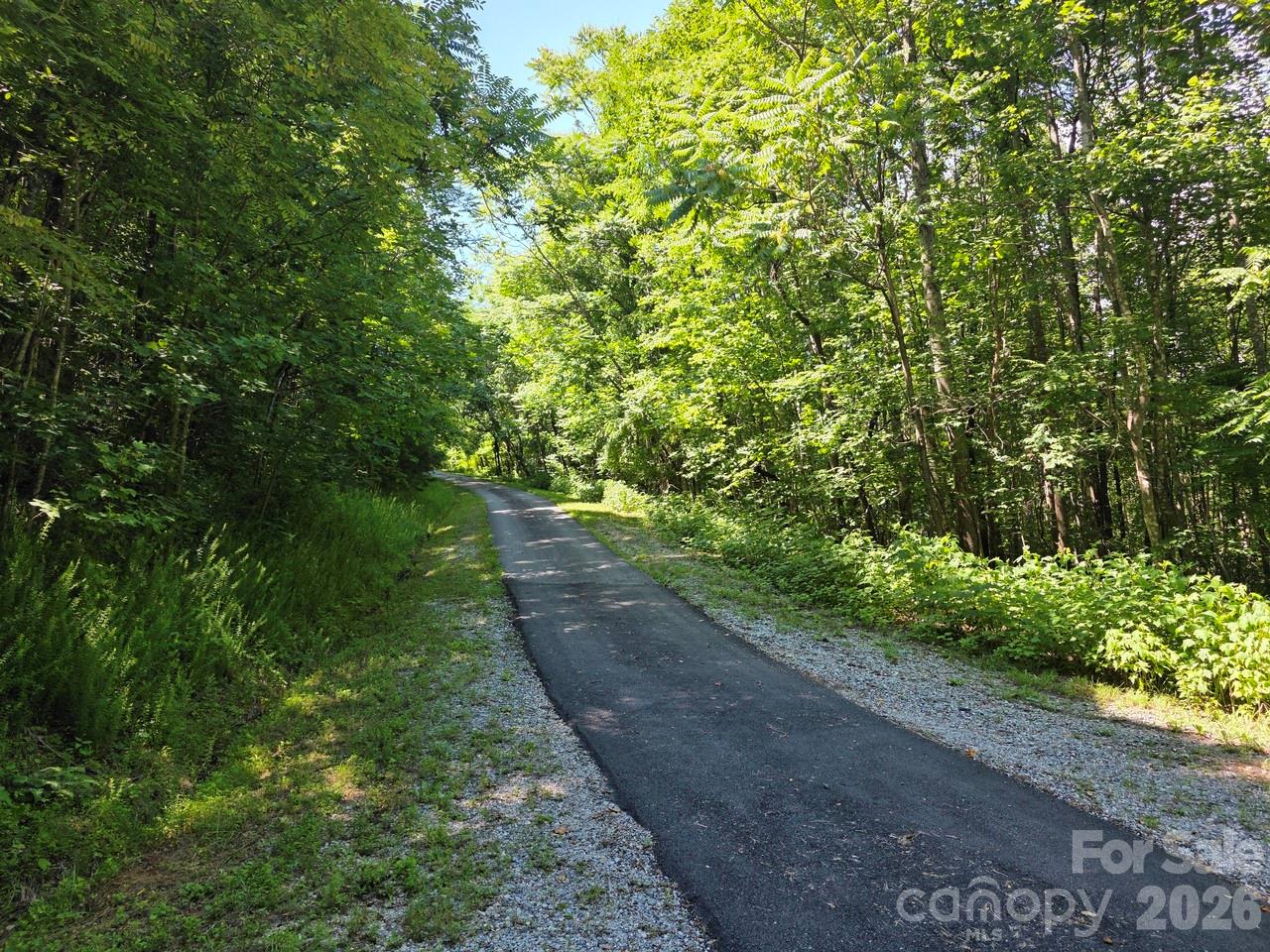 Lot 45 South S View Marion, NC 28752 - Photo 9 of 10