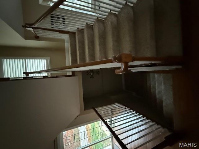 102 Riparian Drive O'Fallon, MO 63368 - Photo 11 of 21