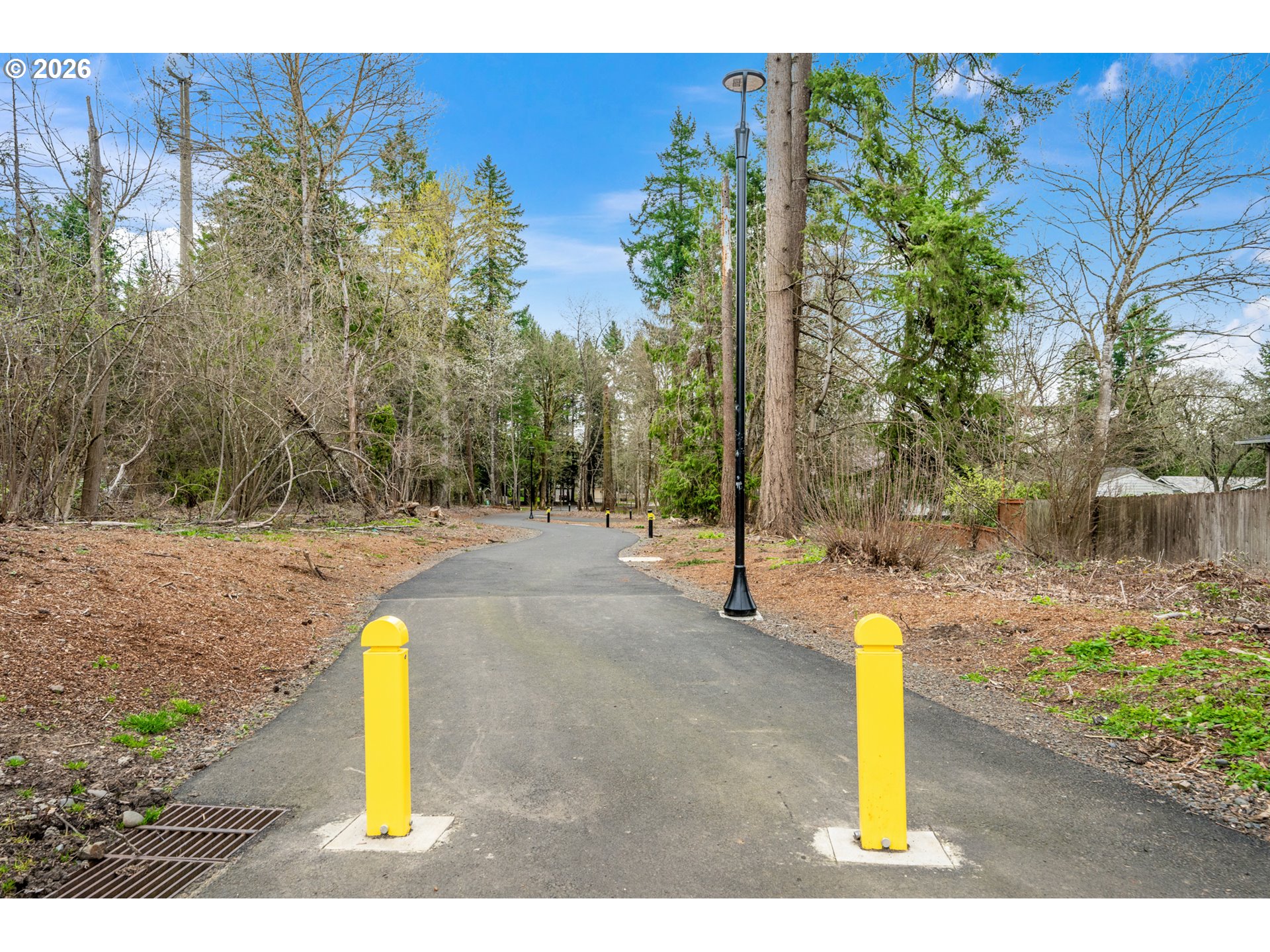 14807 Southwest 106th Avenue Portland, OR 97224 - Photo 37 of 37 a view of a garden with trees