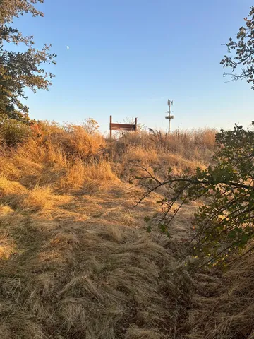 a view of a field of grass and trees