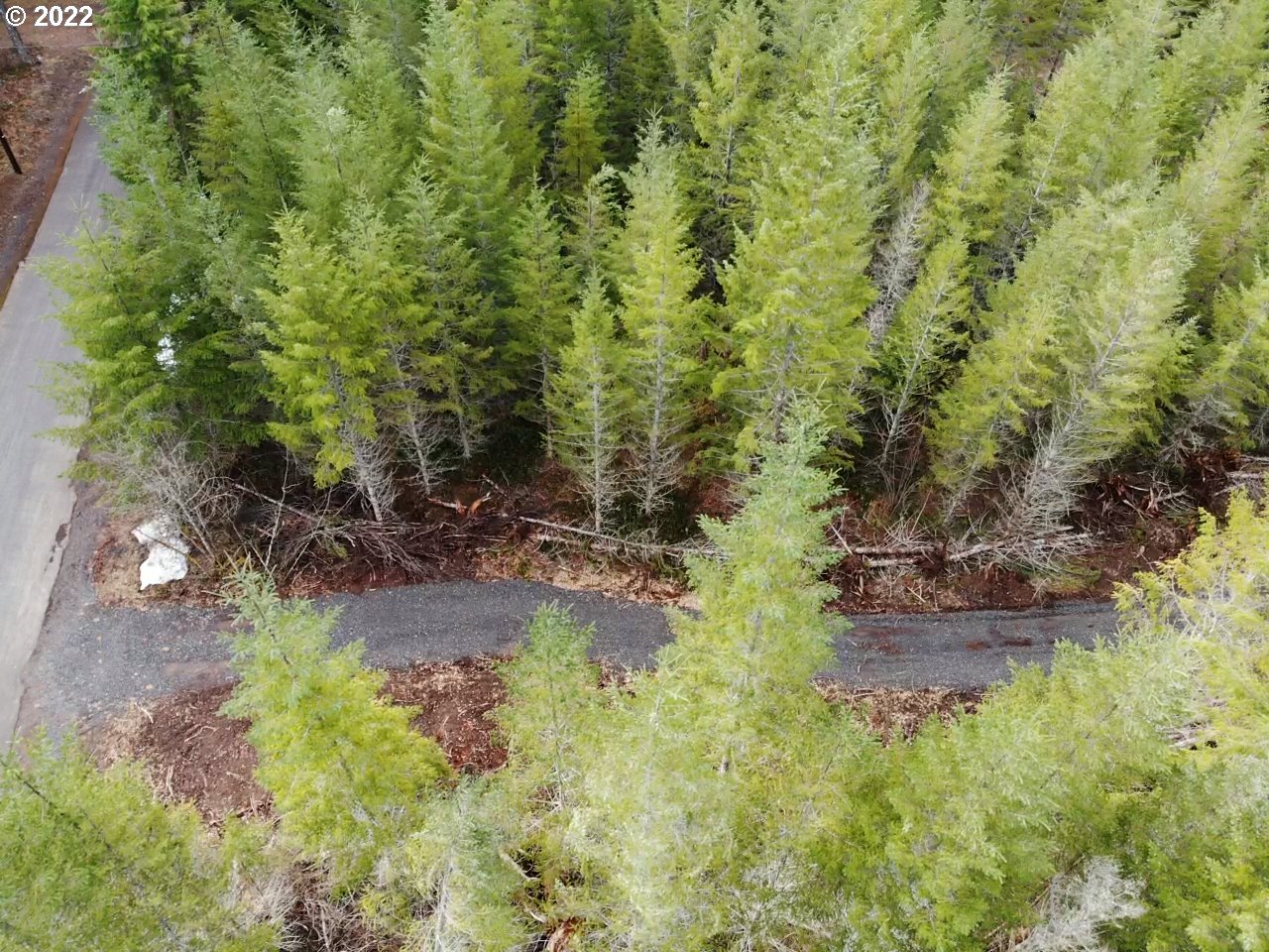 451 Leete Road Carson, WA 98610 - Photo 6 of 8 Gallery Image 6