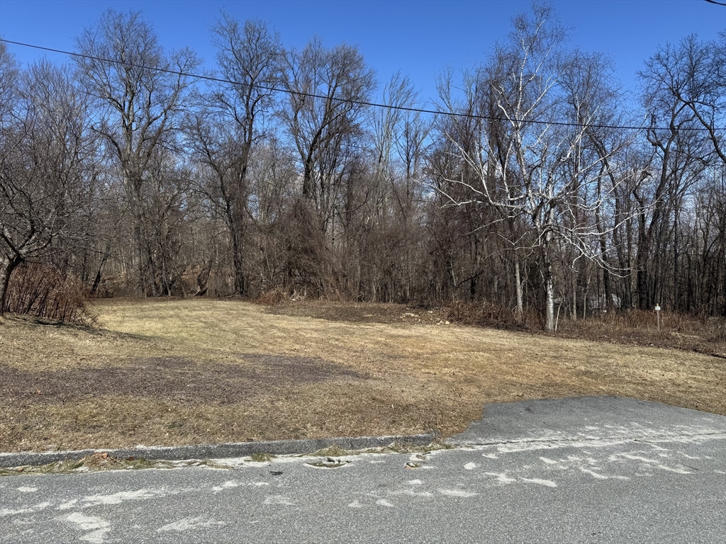21 Orrison Street Worcester, MA 01609 - Photo 1 of 6 a backyard of a house with large trees