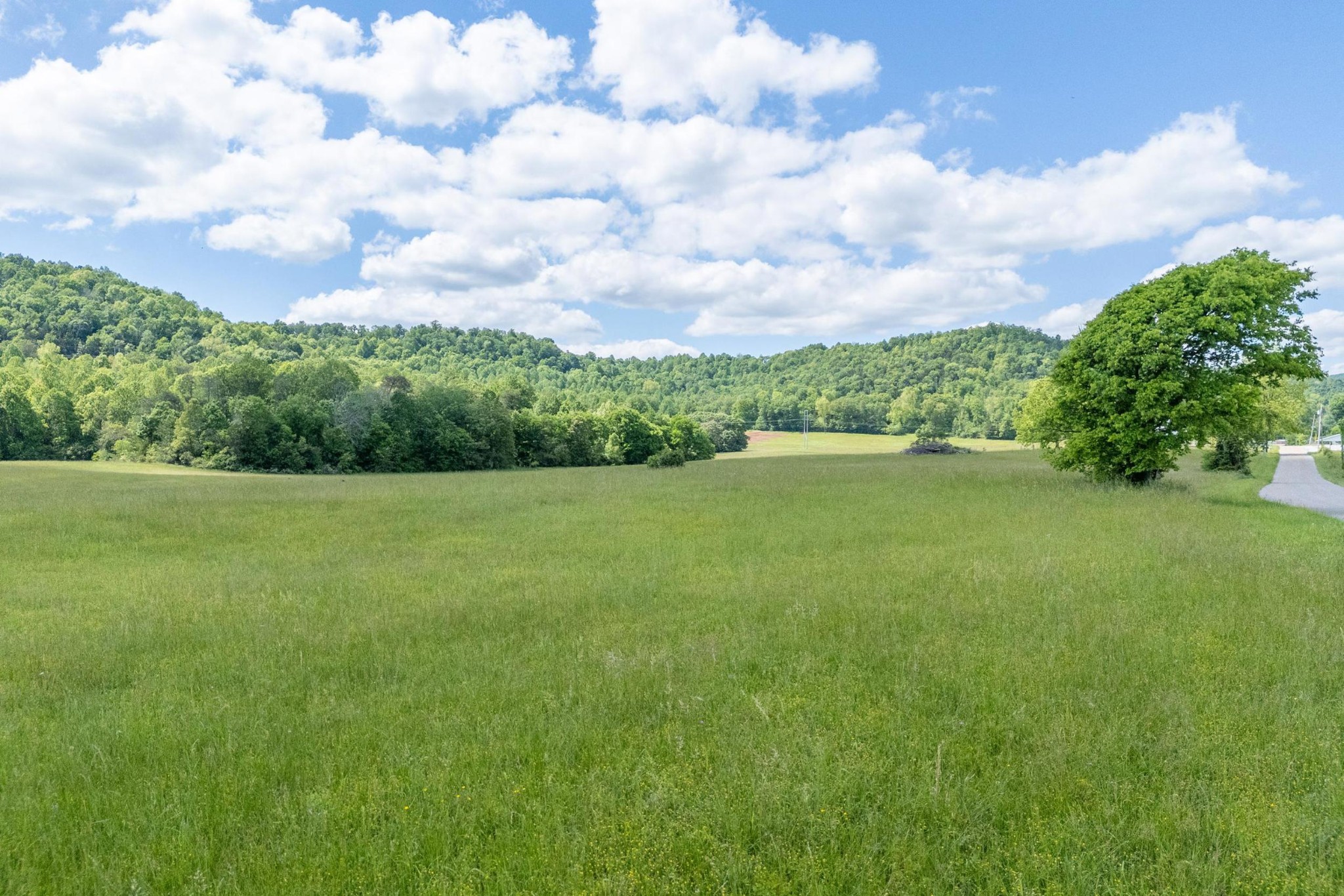 0 Hurd Road Sparta, TN 38583 - Photo 11 of 14 Gallery Image 11