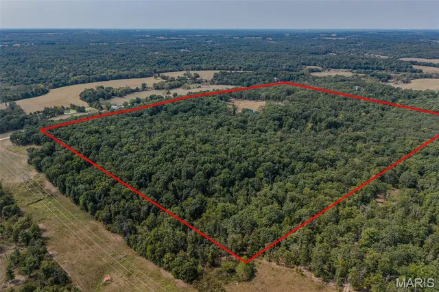 $725,000 | 14675 Edison Road, Lebanon, MO 65536