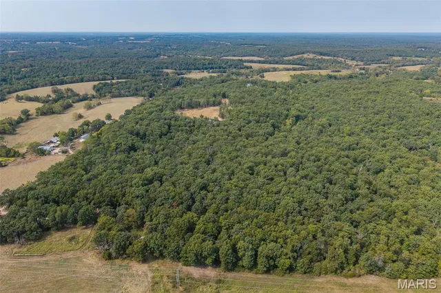 $725,000 | 14675 Edison Road, Lebanon, MO 65536