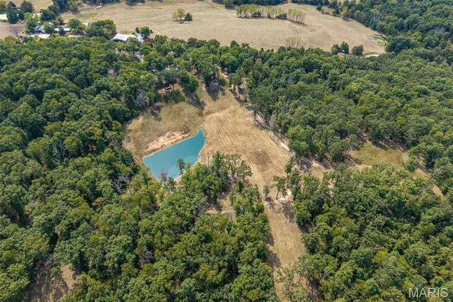 $725,000 | 14675 Edison Road, Lebanon, MO 65536